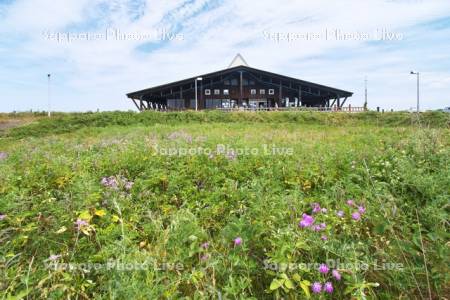 ワッカ原生花園