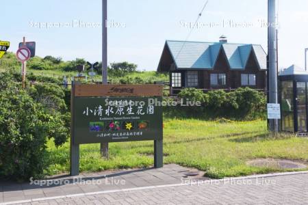 小清水原生花園と原生花園駅