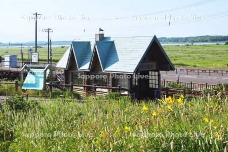 小清水原生花園と原生花園駅