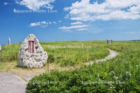 オムサロ原生花園