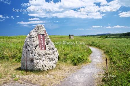 オムサロ原生花園