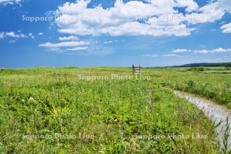 オムサロ原生花園