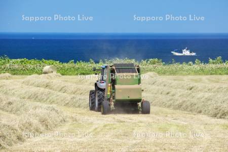 麦わらロールの農作業とオホーツク海