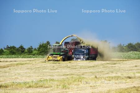 牧草の積込み作業