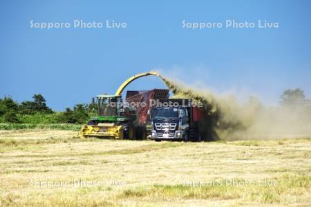 牧草の積込み作業