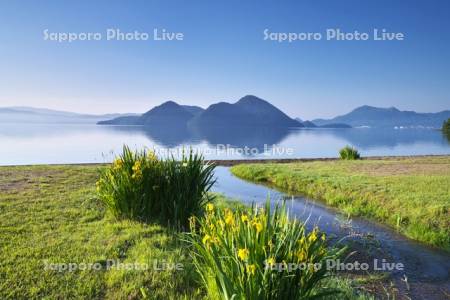 洞爺湖と中島とキショウブ