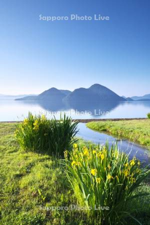 洞爺湖と中島とキショウブ