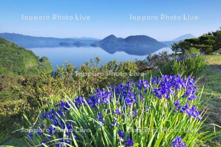 洞爺湖と中島とアヤメ