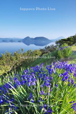 洞爺湖と中島とアヤメ
