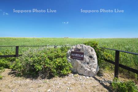 コムケ原生花園