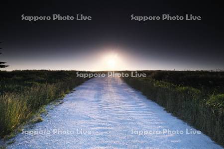 日の出とホタテの白い道