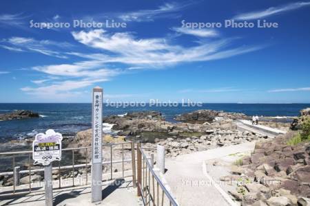 黄金岬カンラン石玄武岩柱状節理