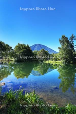 羊蹄姿見池と羊蹄山