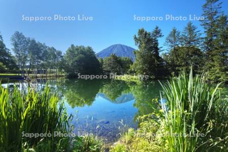 羊蹄姿見池と羊蹄山