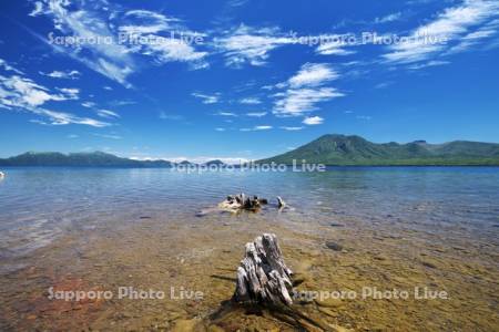 支笏湖の枯木と風不死岳