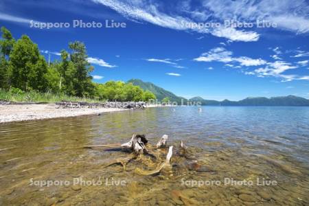 支笏湖の枯木と恵庭岳