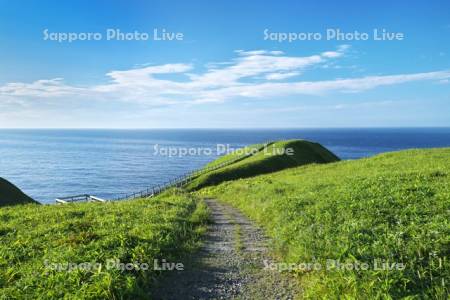 涙岬の遊歩道と太平洋