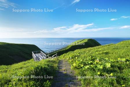 涙岬の遊歩道と太平洋