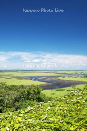 霧多布湿原と一番川
