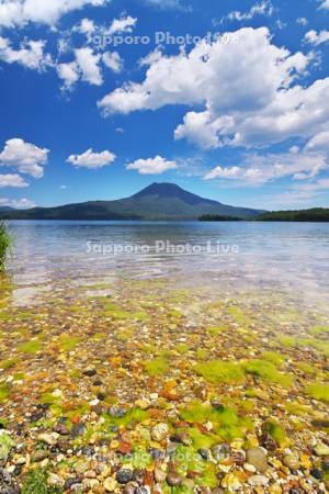 阿寒湖と雄阿寒岳と水生植物