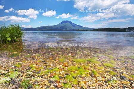 阿寒湖と雄阿寒岳と水生植物