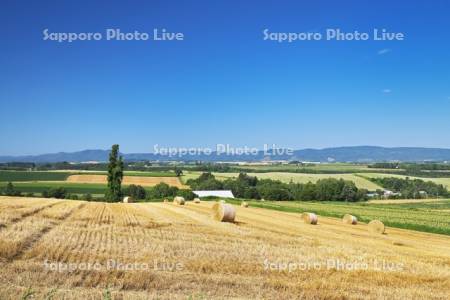 麦稈ロール（麦わら）と大地
