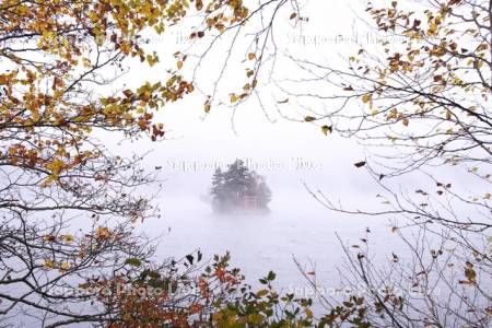 然別湖の朝霧と紅葉と弁天島