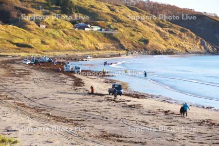 拾い昆布と軽トラック