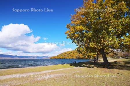 屈斜路湖　和琴半島の紅葉