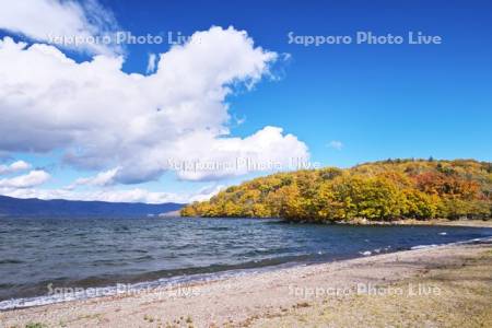 屈斜路湖　和琴半島の紅葉