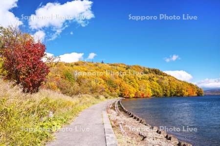 屈斜路湖　和琴半島の紅葉