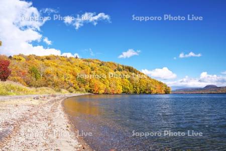 屈斜路湖　和琴半島の紅葉
