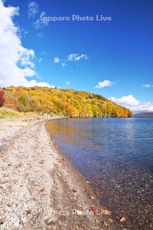 屈斜路湖　和琴半島の紅葉