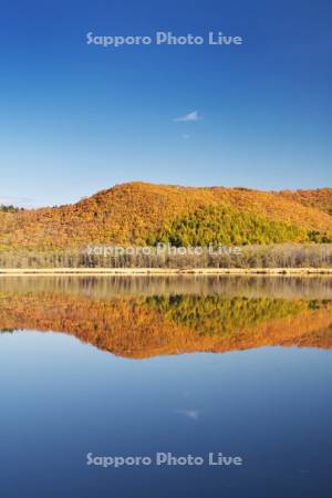 達古武湖の紅葉