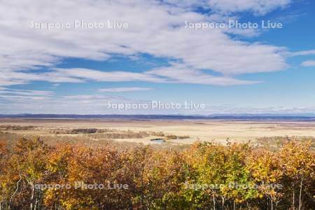 釧路湿原の紅葉