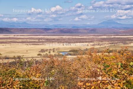 釧路湿原の紅葉
