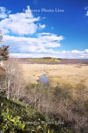 コッタロ湿原　釧路湿原