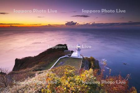地球岬の朝と紅葉