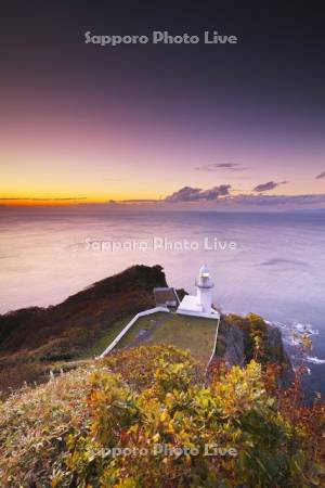 地球岬の朝と紅葉