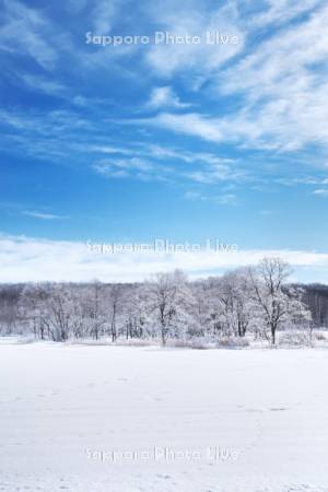 更別の霧氷（樹氷）