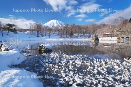 ふきだし公園と羊蹄山とフロストフラワー(霜の花)