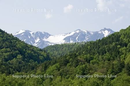 残雪の大雪山と大雪原生林
