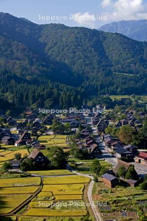 白川郷合掌集落
