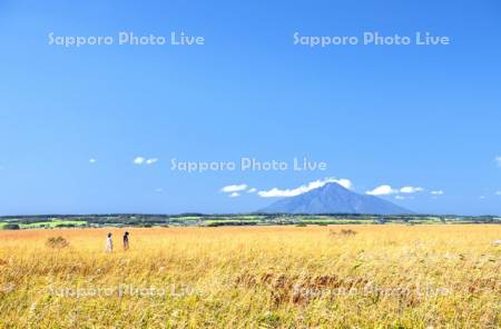 秋のサロベツ原生花園