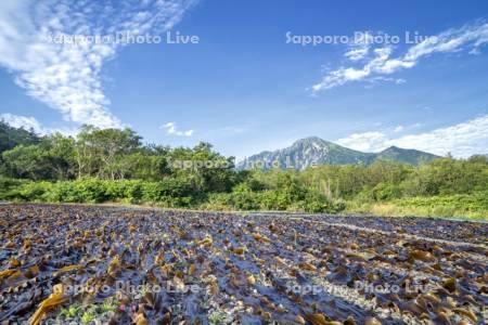 利尻山とコンブ干し