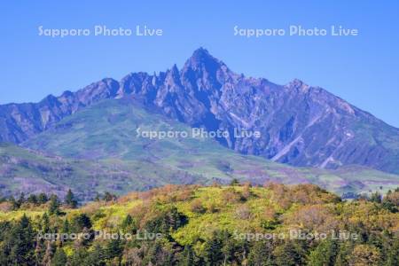 紅葉の利尻山