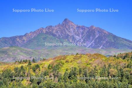 紅葉の利尻山