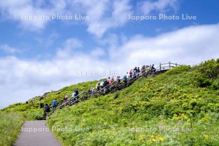 富士野園地展望台の観光客