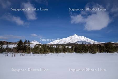 雪原と利尻山