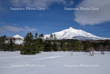 雪原と利尻山